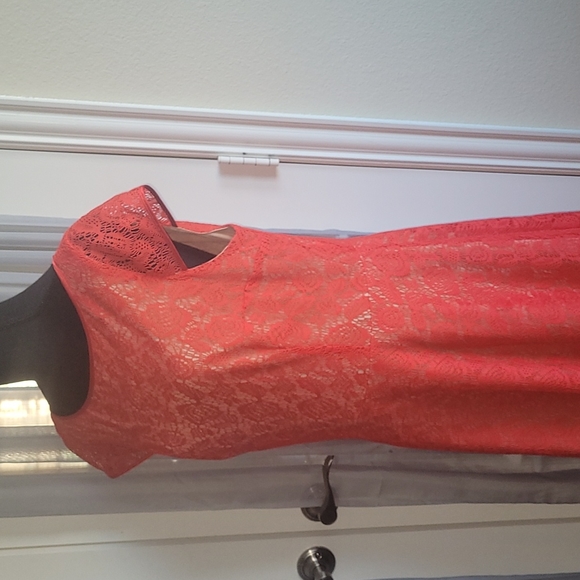 ❤️Evan Picone Women's Cap Sleeve  Lace Fit & Flare Dress - Tangerine Sz … - Picture 6 of 12